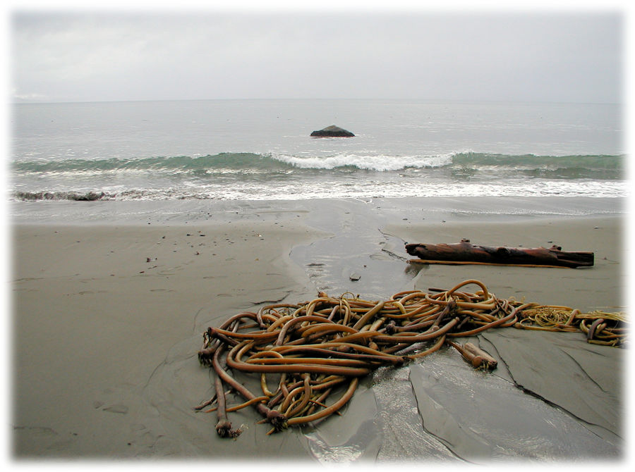 Juan de Fuca Provincial Park, Salish Sea, Vancouver Island, Canada