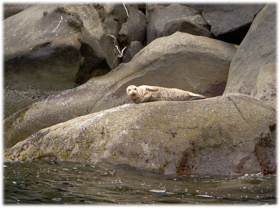 Gabriola Island, Salish Sea, Canada